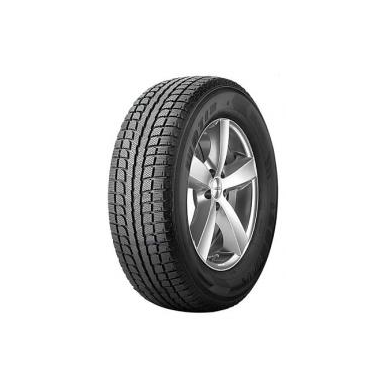 ANTARES 225/55R19 99H GRIP20