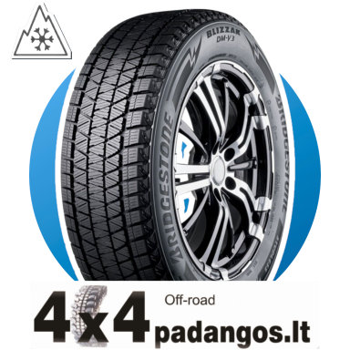 BRIDGESTONE 285/45R20 112T DM-V3 XL RG