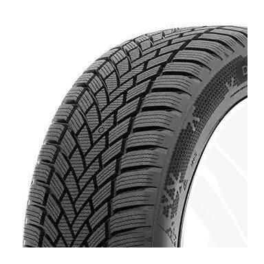 RADAR 255/45R20 105W DIMAX WINTER EVc XL