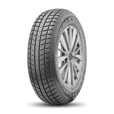ROADSTONE 195/70R15C 104/102R EURO WIN